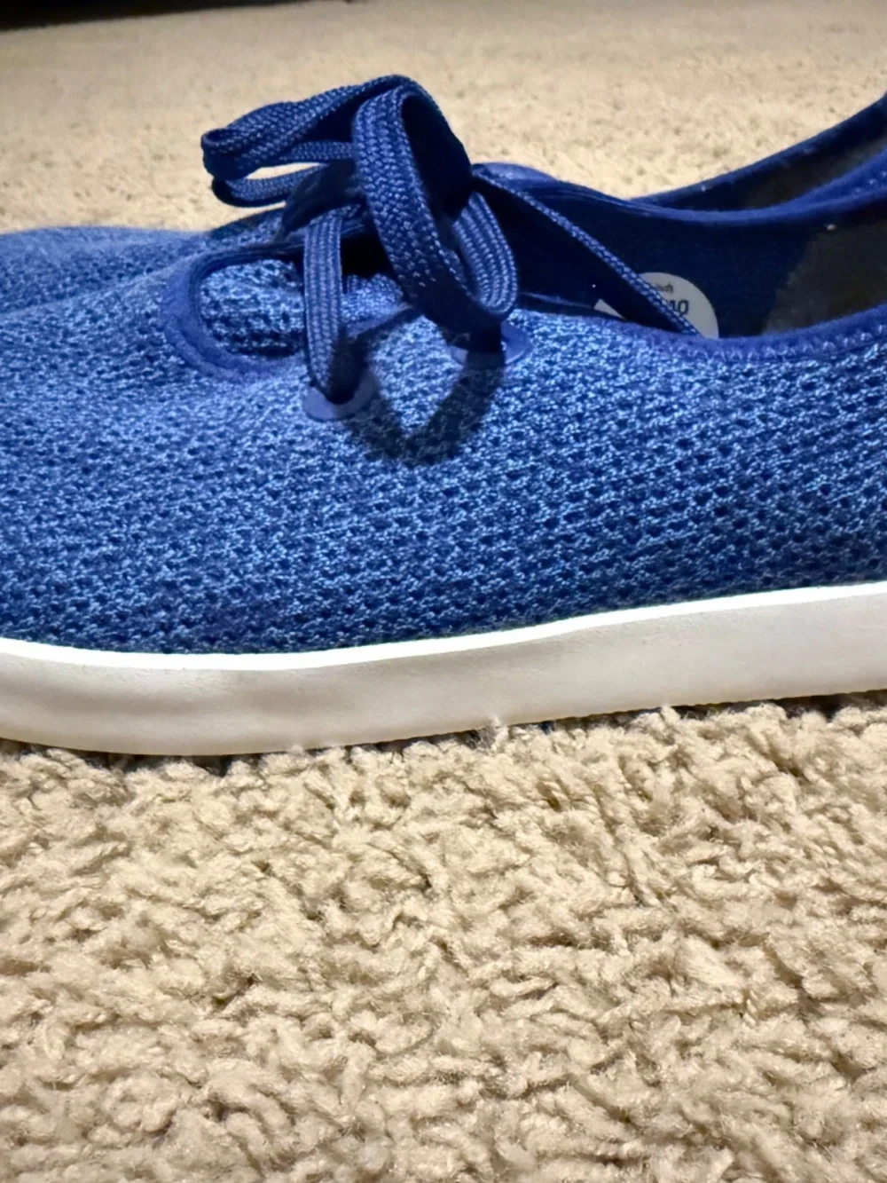 Allbirds Tree Skippers (Men size 10)